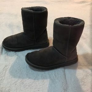 Grey Uggs
